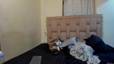 Stepcouple   online show from January 2026 11:51:01 PM