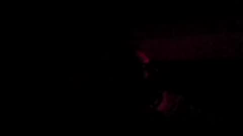 stephan6078 online show from July 2026 02:33:01 AM