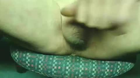 steri8888 online show from November 2025 08:41:02 PM