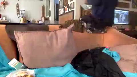 STEVE CASHMASTER 1comedia online show from February 2025 08:51:02 PM