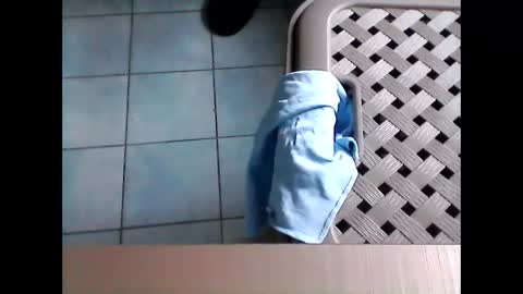 Snapshot of stevenx1974 chatting on March 2026 09:02:01 AM stevenx1974 online show from March 2026 09:02:01 AM