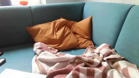 Snapshot of stevessky chatting on December 2024 08:54:02 AM stevessky online show from December 2024 08:54:02 AM