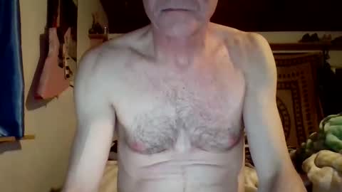 steviehard7 online show from March 2025 04:56:01 AM