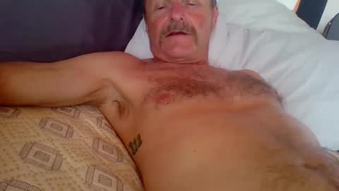 steviehard7 online show from October 2025 10:50:02 PM