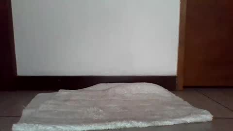 Snapshot of stgo2000caliente chatting on February 2025 03:54:02 PM stgo2000caliente online show from February 2025 03:54:02 PM