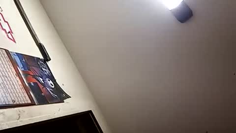 Snapshot of stokely571996 chatting on January 2025 01:16:02 PM Oval2022 online show from January 2025 01:16:02 PM