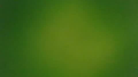 Snapshot of stonedandlovingit chatting on March 2025 01:42:01 PM stonedandlovingit online show from March 2025 01:42:01 PM