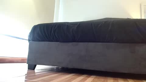 Snapshot of storm_hanks chatting on November 2025 12:24:01 AM storm_hanks online show from November 2025 12:24:01 AM