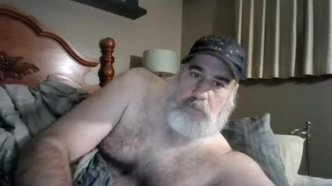 Straightbear4you online show from September 2025 10:31:02 AM