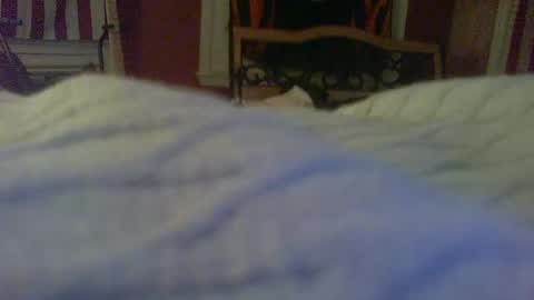Snapshot of stratocatster chatting on January 2025 02:39:01 AM stratocatster online show from January 2025 02:39:01 AM
