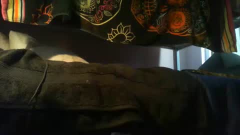 Snapshot of strokensmoke420 chatting on November 2025 09:47:01 PM strokensmoke420 online show from November 2025 09:47:01 PM