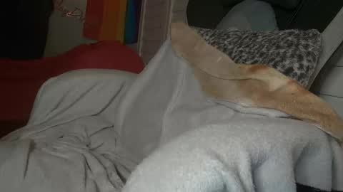 Dong Stroker online show from March 2026 09:01:01 AM