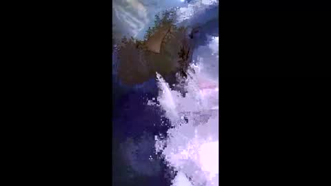 stuffamuffagus69 online show from May 2026 09:33:02 PM