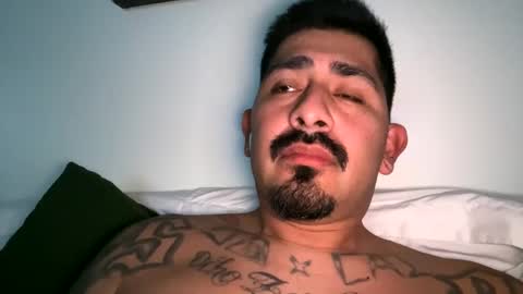 stylezg805 online show from October 2025 08:34:02 AM