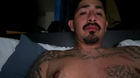 stylezg805 online show from March 2026 07:44:01 AM