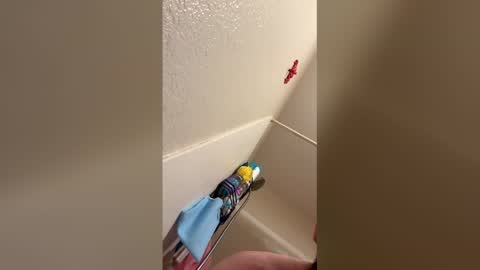 suckaslaya69 online show from April 2026 02:54:02 PM