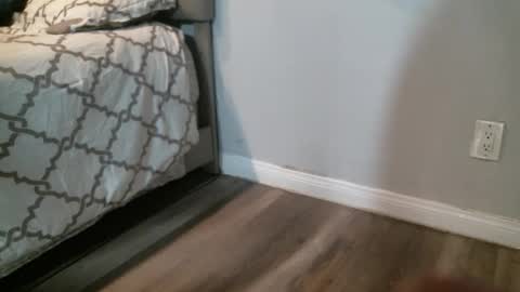 sugar1014 online show from September 2025 06:40:01 PM