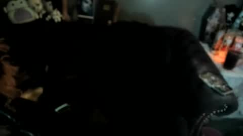 Sugary online show from January 2026 11:25:01 AM