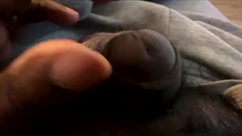 Snapshot of suggnight chatting on January 2026 08:55:01 PM Let me be your knight that saves you online show from January 2026 08:55:01 PM