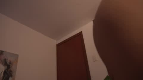 Snapshot of suki_3 chatting on July 2026 01:58:33 AM Suki online show from July 2026 01:58:33 AM