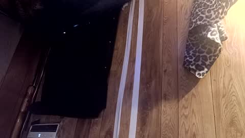 Summer Divine online show from February 2025 08:53:02 PM