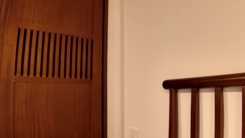 luna online show from November 2025 02:20:01 PM