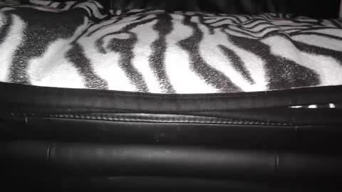 s online show from December 2024 09:11:02 PM