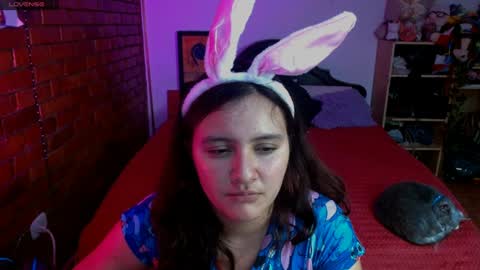 sunny online show from December 2024 07:47:01 AM