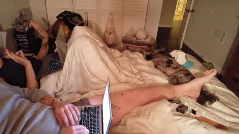 Snapshot of sunnicalicouple chatting on May 2026 08:33:02 AM sunnicalicouple online show from May 2026 08:33:02 AM