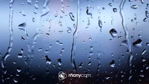 Snapshot of sunnybigboy88 chatting on February 2026 08:07:02 AM sven online show from February 2026 08:07:02 AM