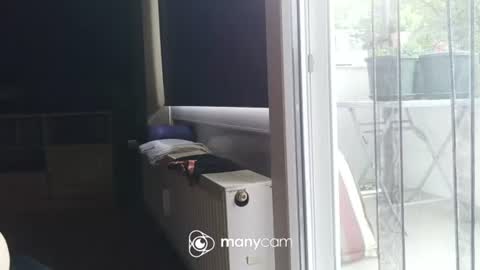 sven online show from June 2026 05:35:01 AM
