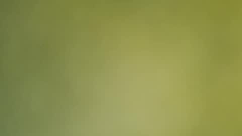 Annie online show from December 2024 12:56:01 AM