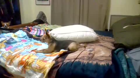 Suntroll online show from June 2026 08:24:02 AM