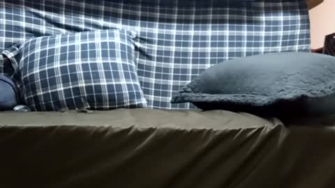 Super dave88 online show from September 2025 10:53:02 AM