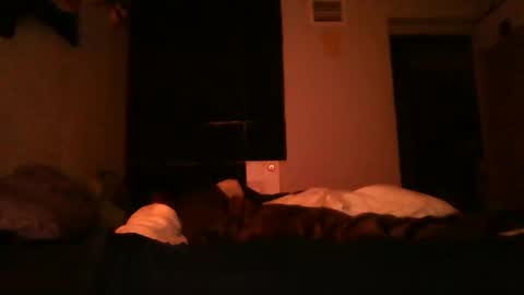 Snapshot of supermanloverhg chatting on December 2024 05:50:02 AM supermanloverhg online show from December 2024 05:50:02 AM