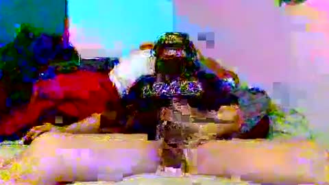 Snapshot of supermanloverhg chatting on January 2025 11:52:01 AM supermanloverhg online show from January 2025 11:52:01 AM