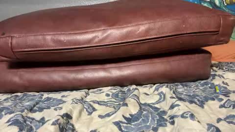 Stony online show from January 2025 11:56:02 AM