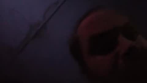 sloth online show from February 2026 11:43:02 AM