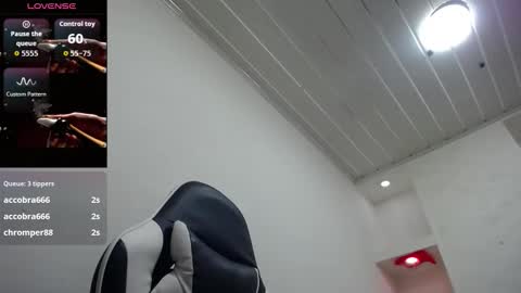 susan online show from December 2025 07:53:02 PM