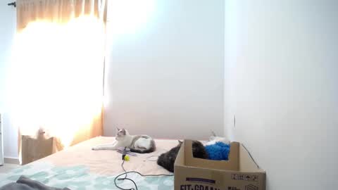 Susana online show from January 2025 04:59:02 PM