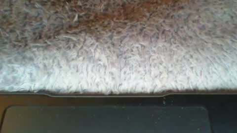 Snapshot of suseee chatting on March 2026 03:44:02 AM Suseee online show from March 2026 03:44:02 AM