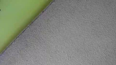 sussan_nasty online show from December 2025 01:38:01 PM