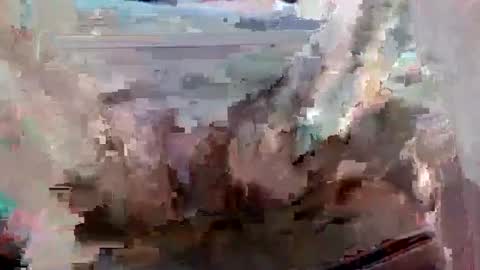 suttond4858 online show from September 2025 07:03:02 PM