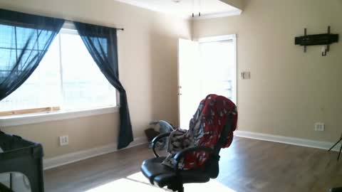 Swals online show from February 2025 04:11:02 PM