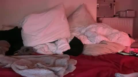 Horny French Arab online show from March 2026 05:24:01 AM