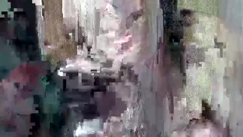Snapshot of sweet_chel chatting on May 2026 02:39:01 AM sweet_chel online show from May 2026 02:39:01 AM