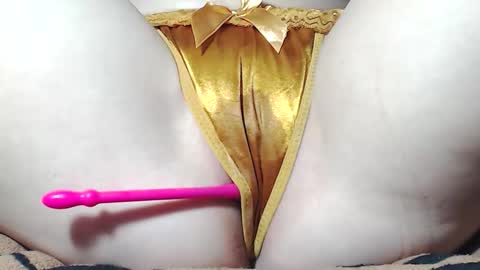 Kitten online show from March 2026 09:03:02 AM