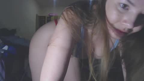 TexasPAWG101 online show from October 2025 05:30:02 PM