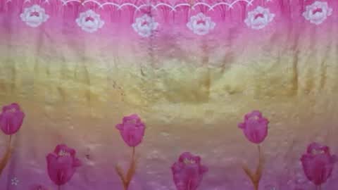 Nina online show from January 2025 12:29:01 AM