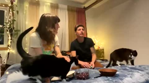 Ramona online show from February 2026 03:22:02 AM